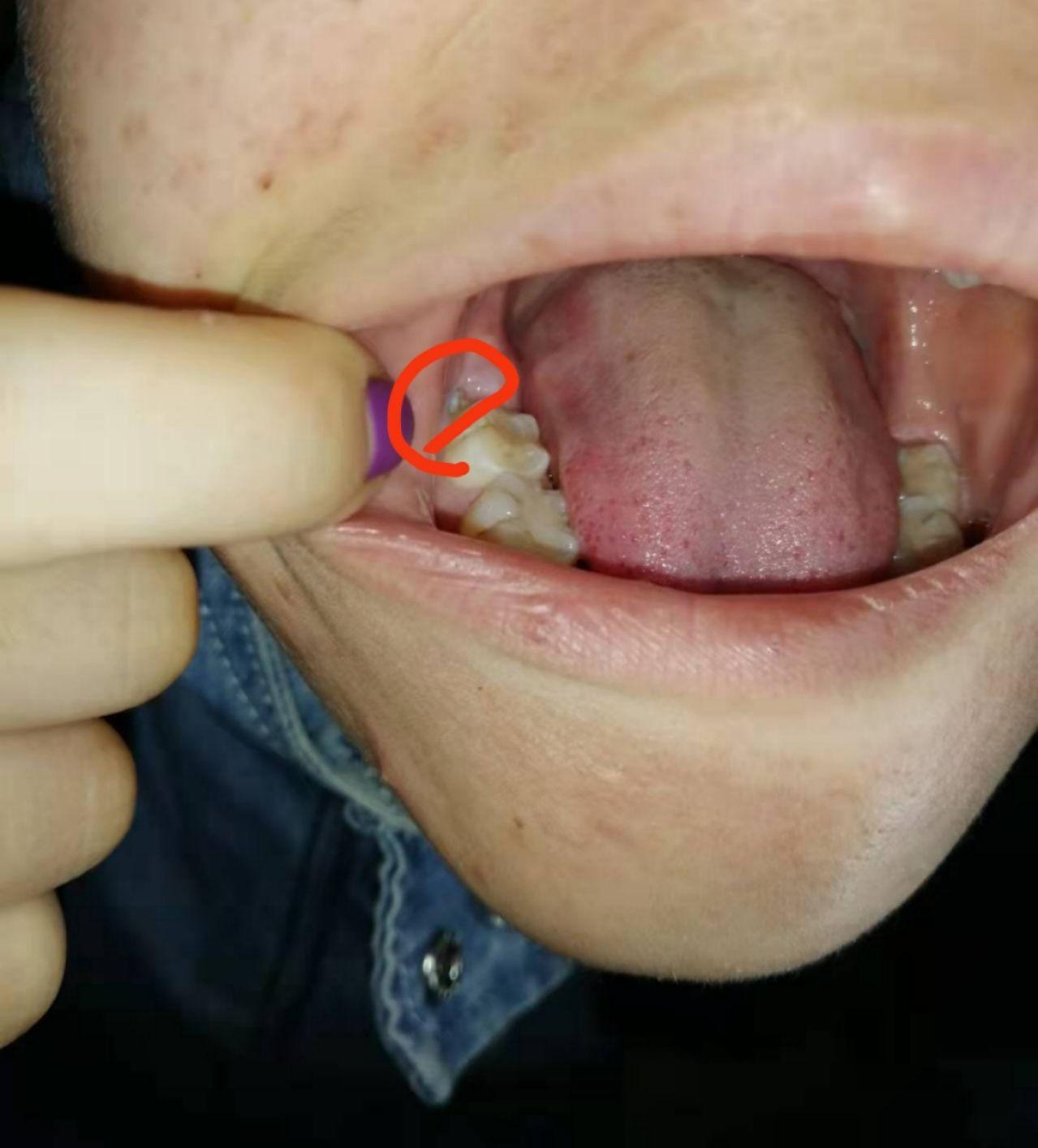 智齿日记 - 知乎