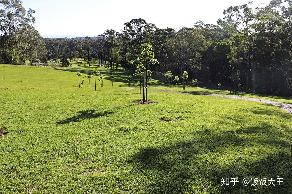 大片的草坡,作为公园不太常见(凸凹一般的社区公园都很小),作为农场就