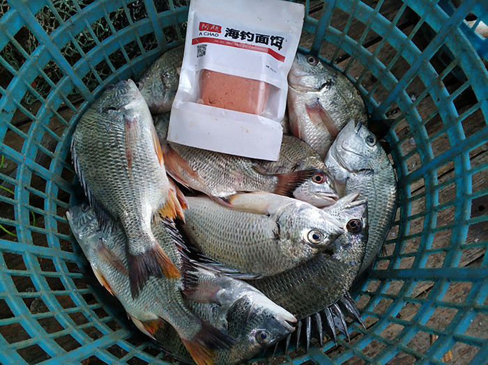 海钓面饵的使用技巧