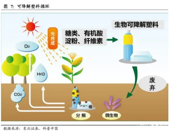 可降解与可食用机器人的未来：环保科技的新趋势