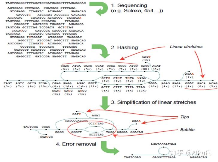 Overlap Layout Consensus Graph 经典:基因组测序数据从头拼接或组装算法的原理 - 知乎