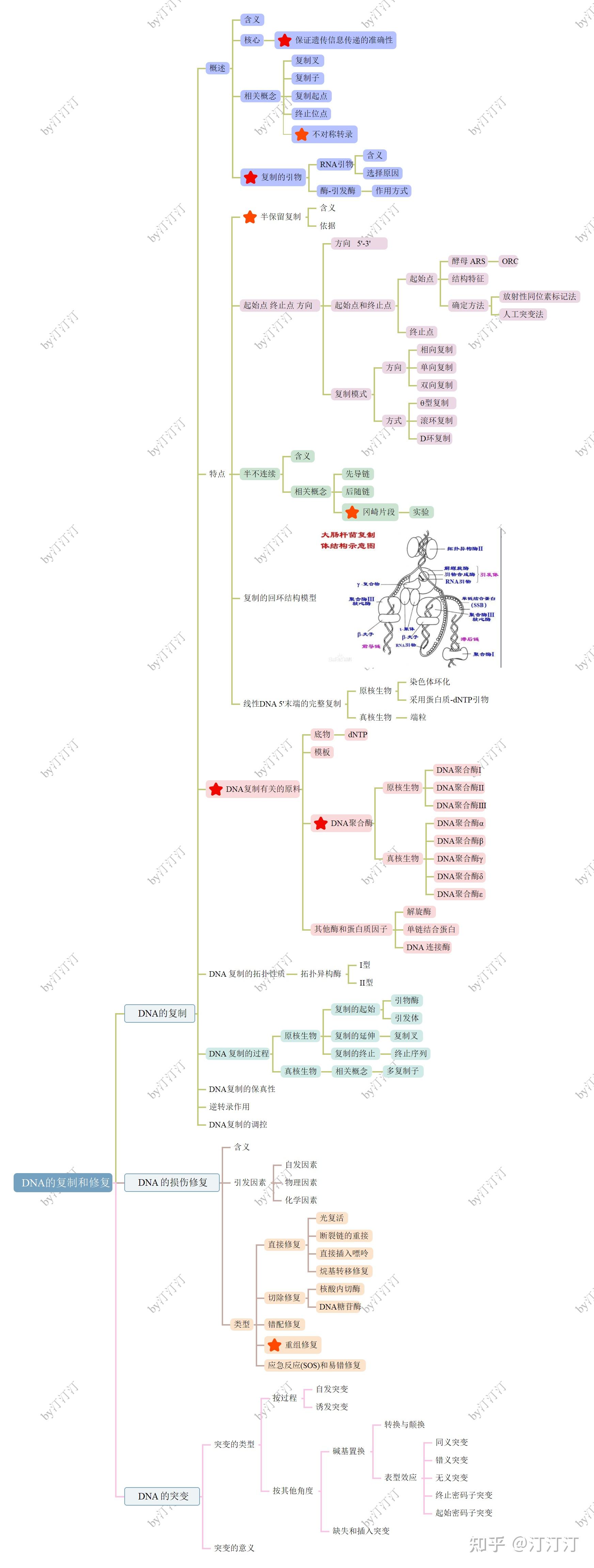 考研生物化学