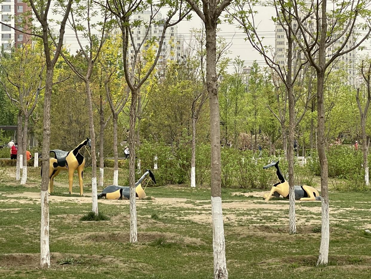 北京海淀西小口公园成为网红打卡地