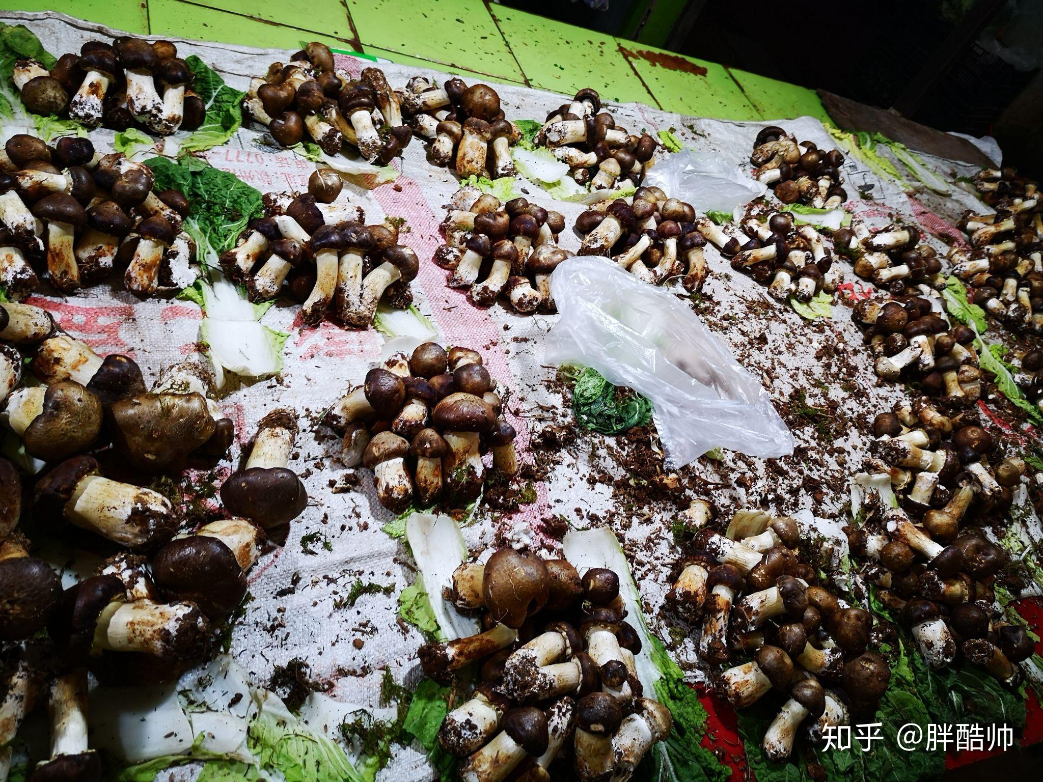 货高到不知道哪里去了,一堆十元火力全开封上膜,放进屉里碗底铺上鲊肉