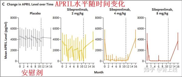 重磅：Sibeprenlimab治疗IgA肾病，II期临床试验结果太棒了！III期临床已启动 - 知乎