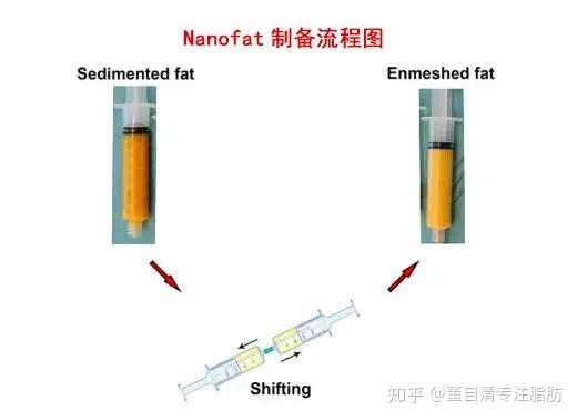 脂肪胶和纳米脂肪有什么不同?