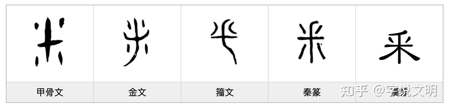 釆——每日一字·爪部字 - 知乎