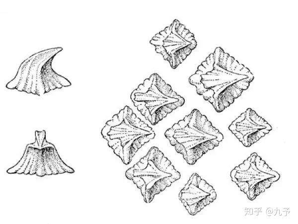 南极睡鲨简笔画图片