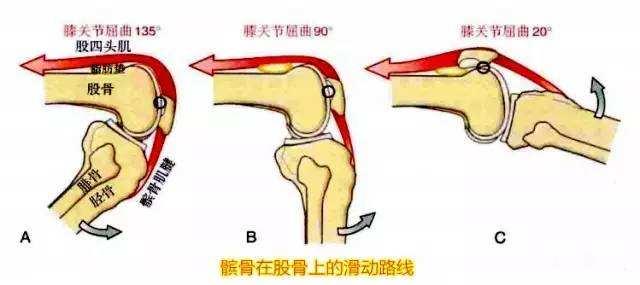 骨科医生袁林 67 山东省立医院骨关节外科副主任医师 膝盖弯曲的