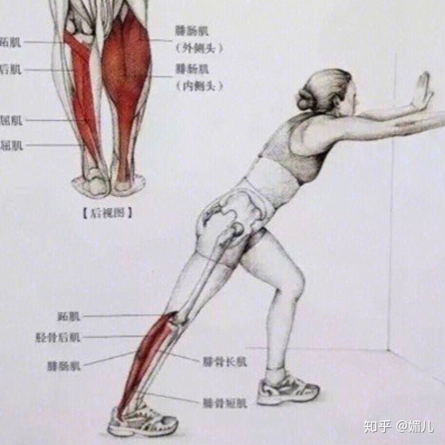 怎样瘦下来的方法 v2-7b11cc830e41805b57c00da82283cfc1_r.jpg