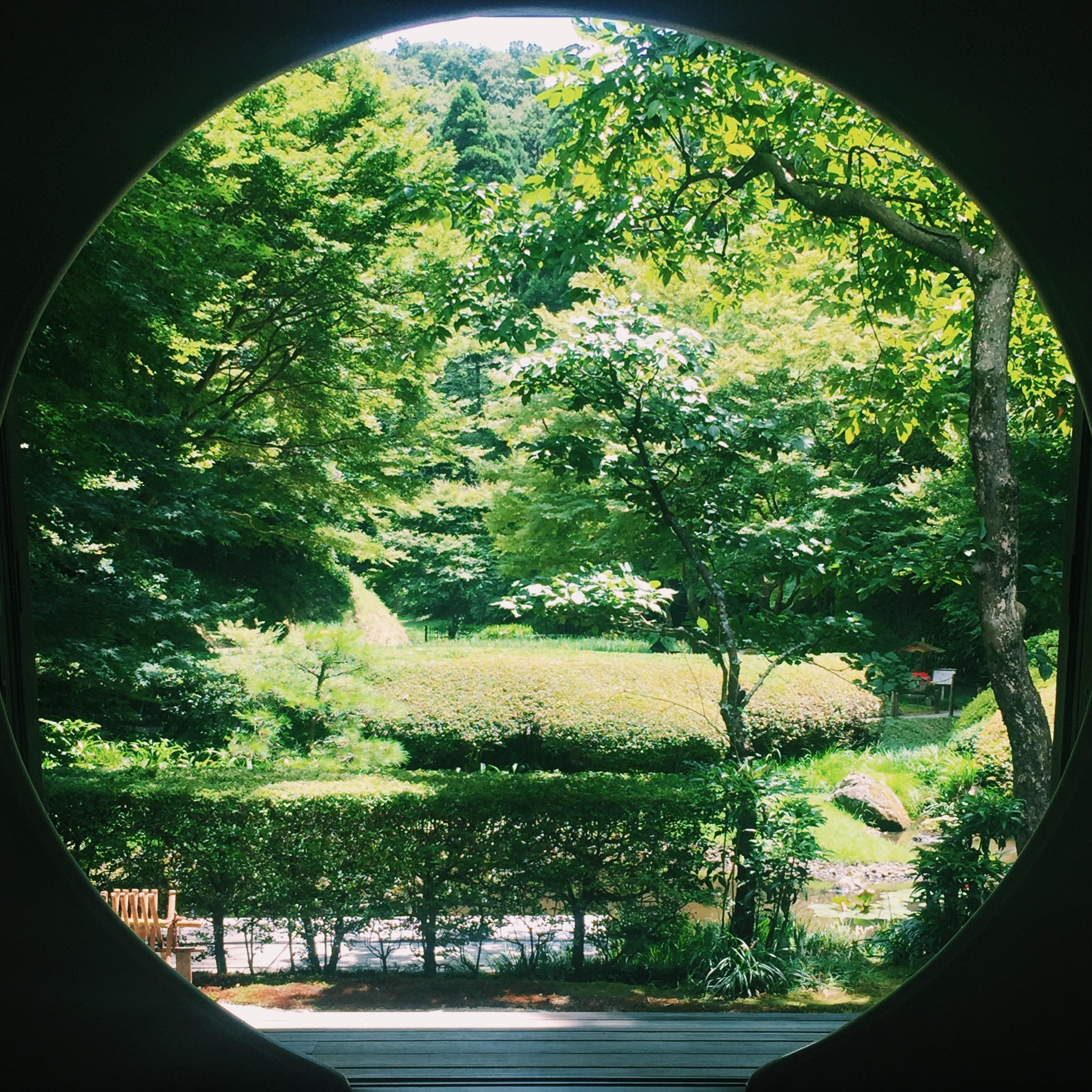 明月院的卖点在于紫阳花寺之名,八月当然没有紫阳花,但蔽日的绿荫和寺