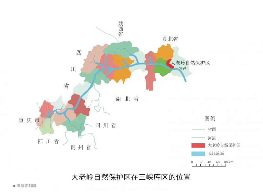 大老岭三峡之上的绿色宝库