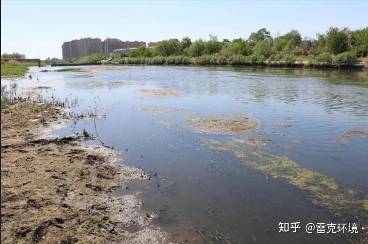 《人民日报海外版》聚焦：底泥洗脱技术助力北京凉水河生态复苏 - 知乎