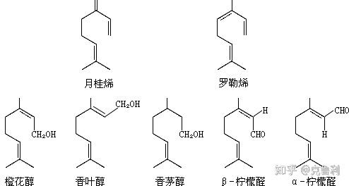 精油消炎是什么原理_腱消炎是什么症状图片(3)