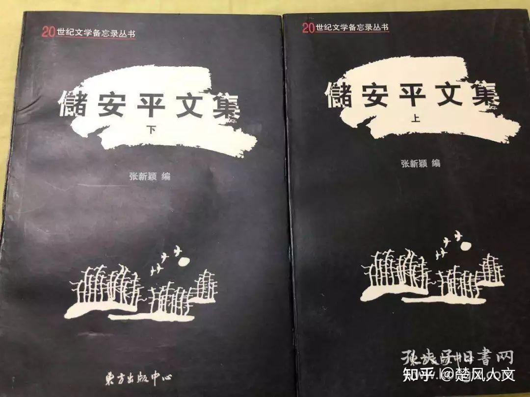 他说,现在湖南省政协工作的雷逸湘先生告诉他,储安平根本不是跳海自杀