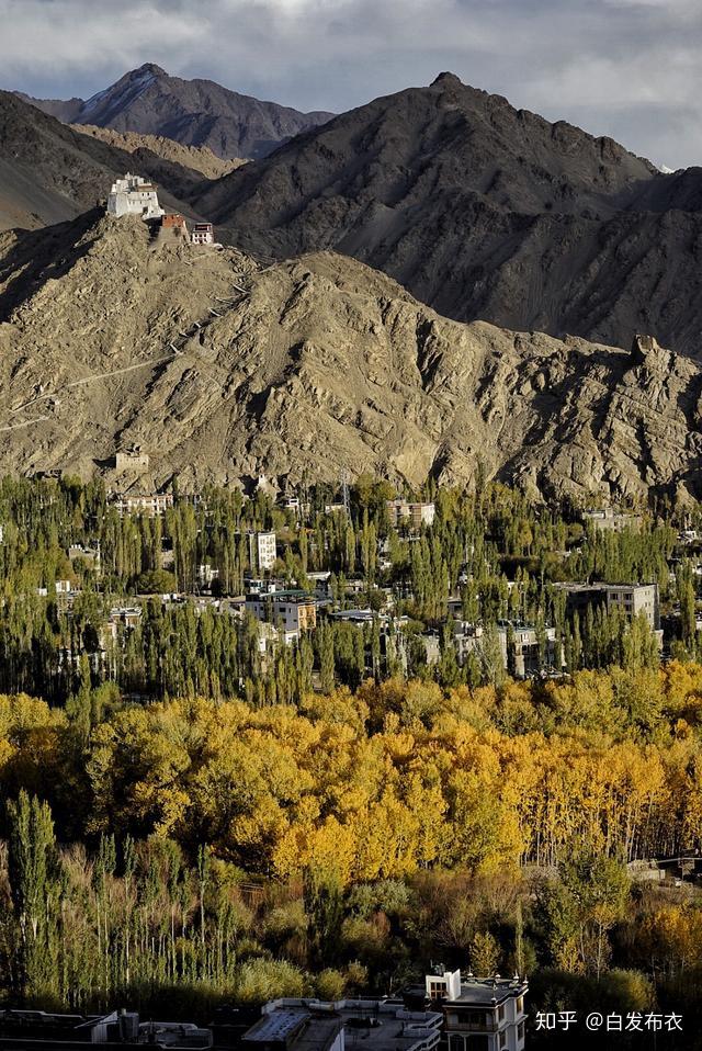 猫与鼠的游戏拉达克王国的古格之战