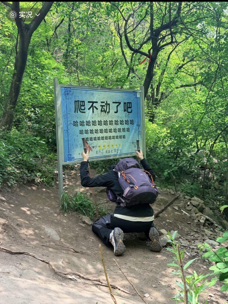 嵩山景区撤换网红标语又火速换回，「爬不动了吧哈哈哈」究竟是善意调侃还是嘲讽？你会觉得被冒犯吗？