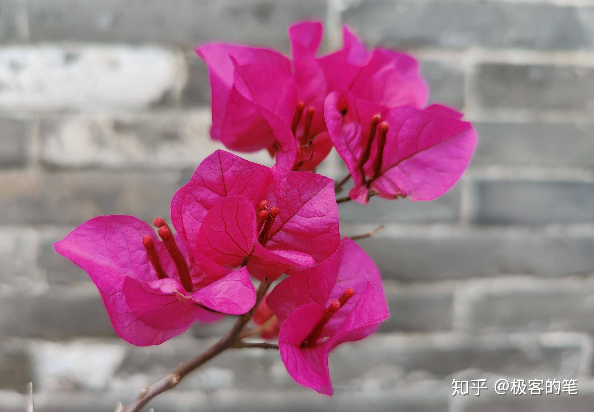 一加8pro到底是怎样的一款手机oneplus8pro评测