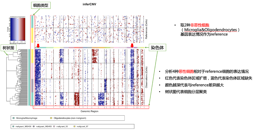 Vernacular｜InferCNV 帮你从单细胞数据中挑出“害群之马”--肿瘤细胞 - 知乎