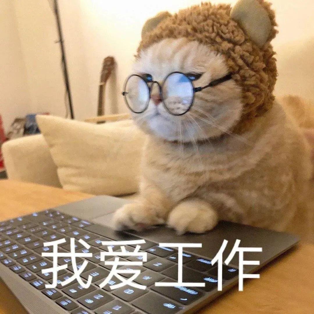 可爱的动图表情包 - 知乎