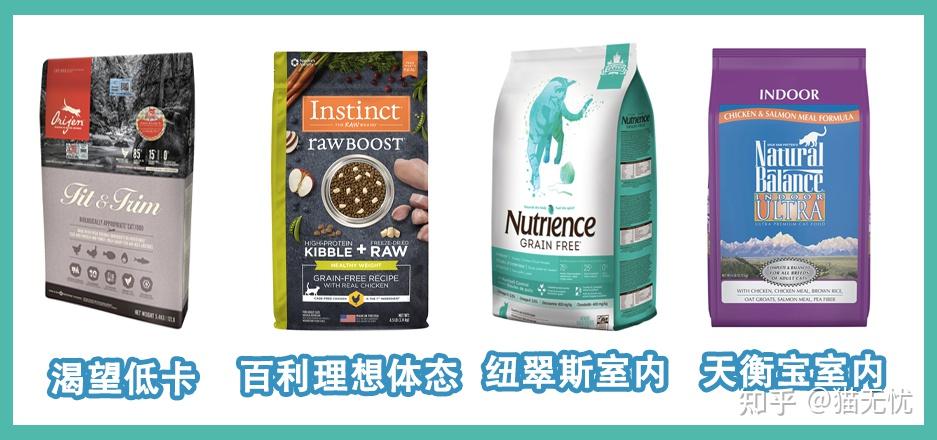 v2-7bad311e0542a03b18df56db77a060f9_r.jpg