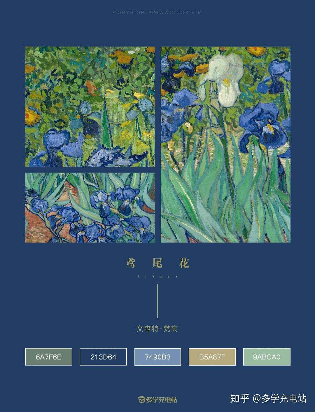 每日一画|《鸢尾花》irises 1889年 文森特·梵高 赏析 - 知乎