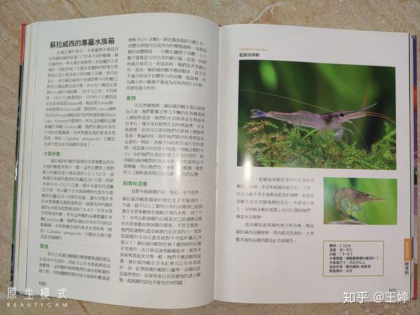 观赏无脊椎动物 淡水观赏虾 螯虾 观赏蟹 螺贝类 知乎 观赏无脊椎动物 淡水观赏虾 螯虾 观赏蟹 螺贝类 知乎
