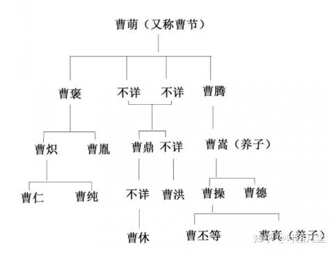 曹操与曹氏的关系从这两张图可以看出曹操的女儿与夏侯兄弟的儿子们都