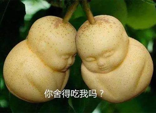 v2-7bcf339777e15ec6e0d26bf7ca820211_1440w.jpg?source=172ae18b