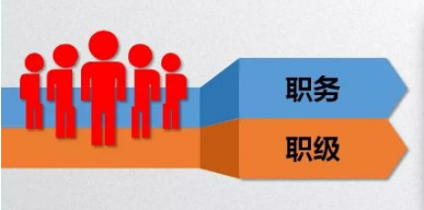 6月1日新公务员法实施后原县级以下机关职级并行待遇人员如何套转