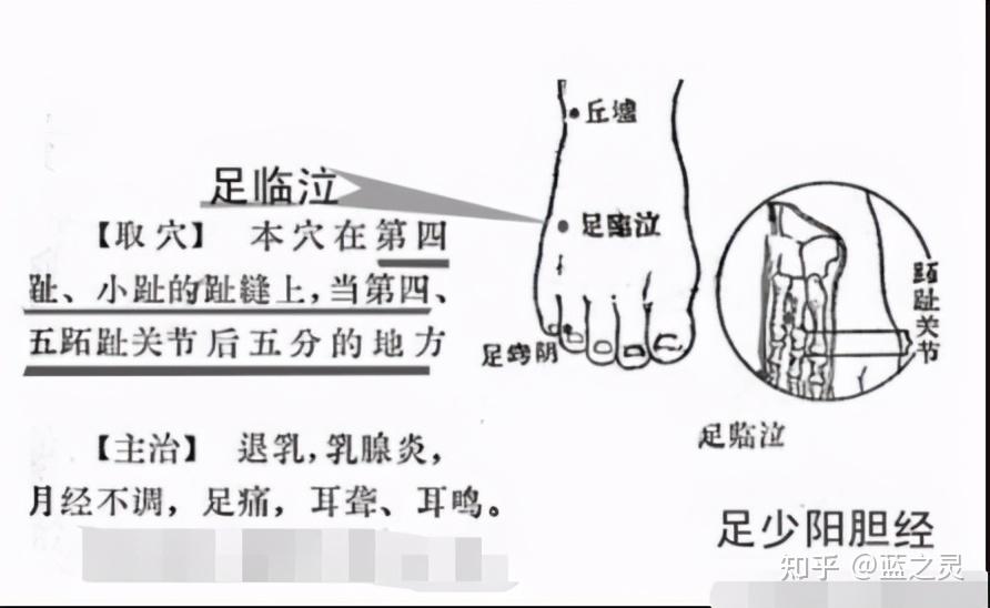 八脈裡有八個代表性的穴位,公孫,內關,臨泣,外關,申脈,後溪,列缺,照海