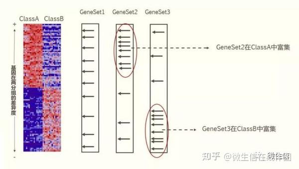 ClusterProfiler在线基因集富集分析，支持自定义基因集、任意物种 - 知乎