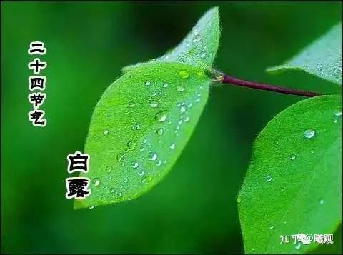 凉夜有怀清风吹枕席白露湿衣裳