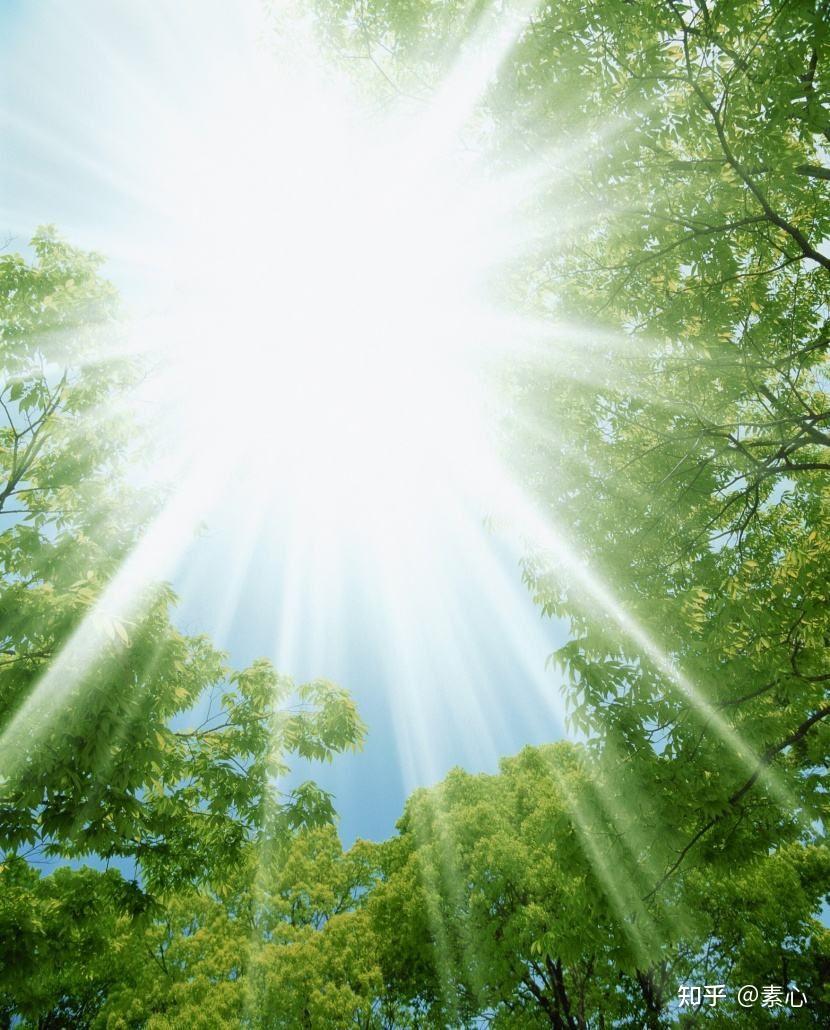 天天正能量 - 知乎