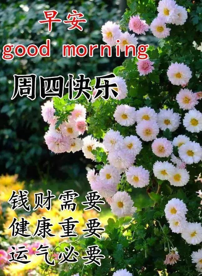 秋高气爽早上好问候祝福语图片带字美丽的早晨亲爱的早安祝福语表情