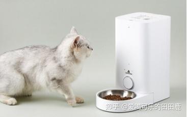 37000Cm威尼斯京东宠物用品：引领宠物市场未来潮流！