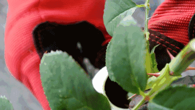 v2-7c0b675582b83ee235c4165ff5105565_b.gif