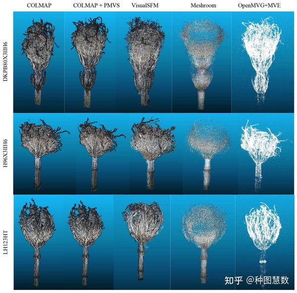 植物表型技术:开源玉米根系表型三维重建管道的比较 - 知乎