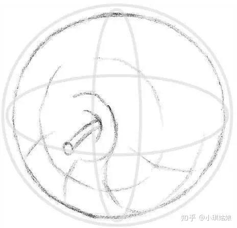 圖2圖3變形圓球體畫法——梨子1 首先繪製出梨子的外輪廓,具體的繪製