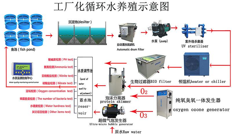 循环水养殖怎样才能少走弯路?