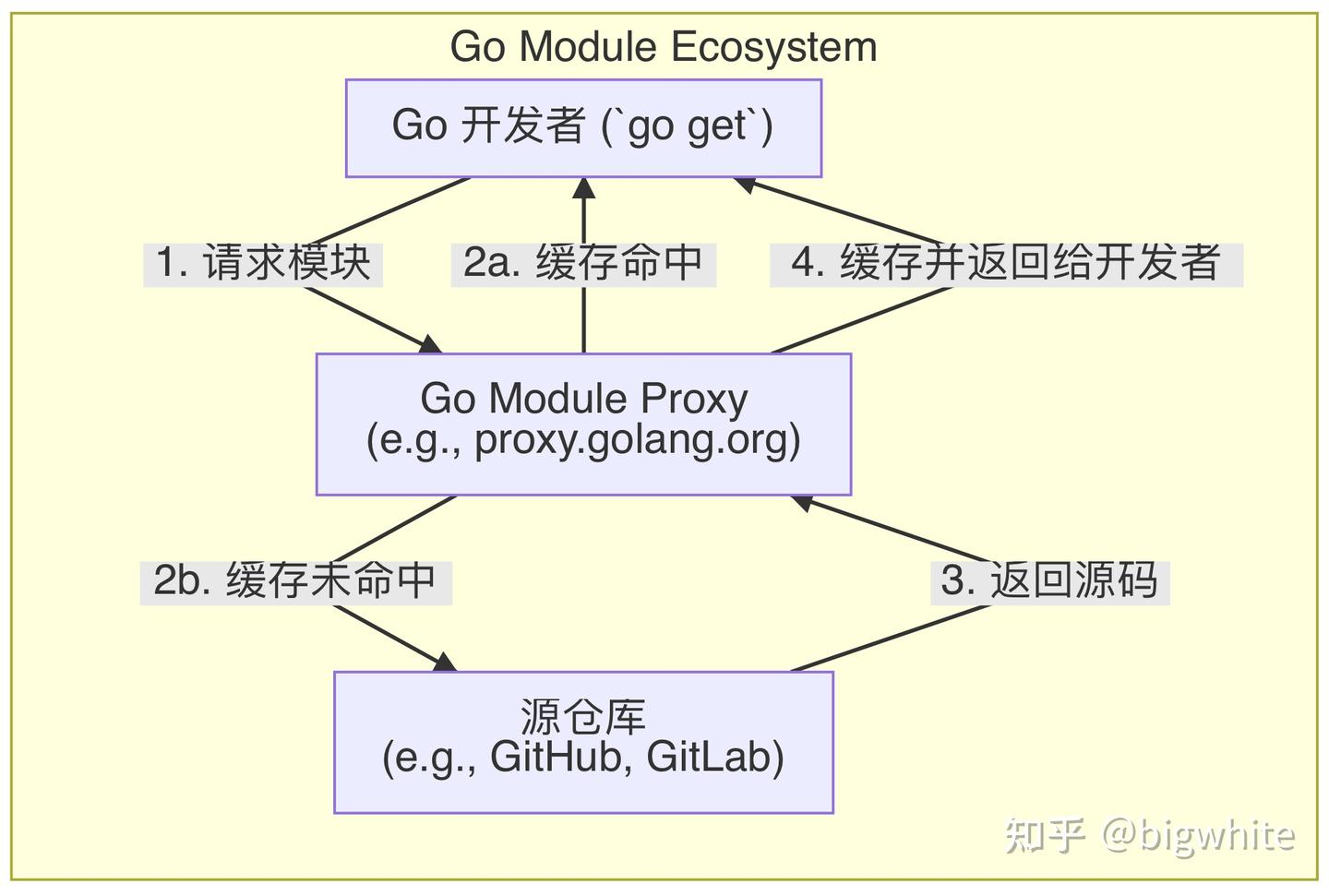 【Go模块构建与依赖管理】08 深入 Go Module Proxy 协议 - 知乎