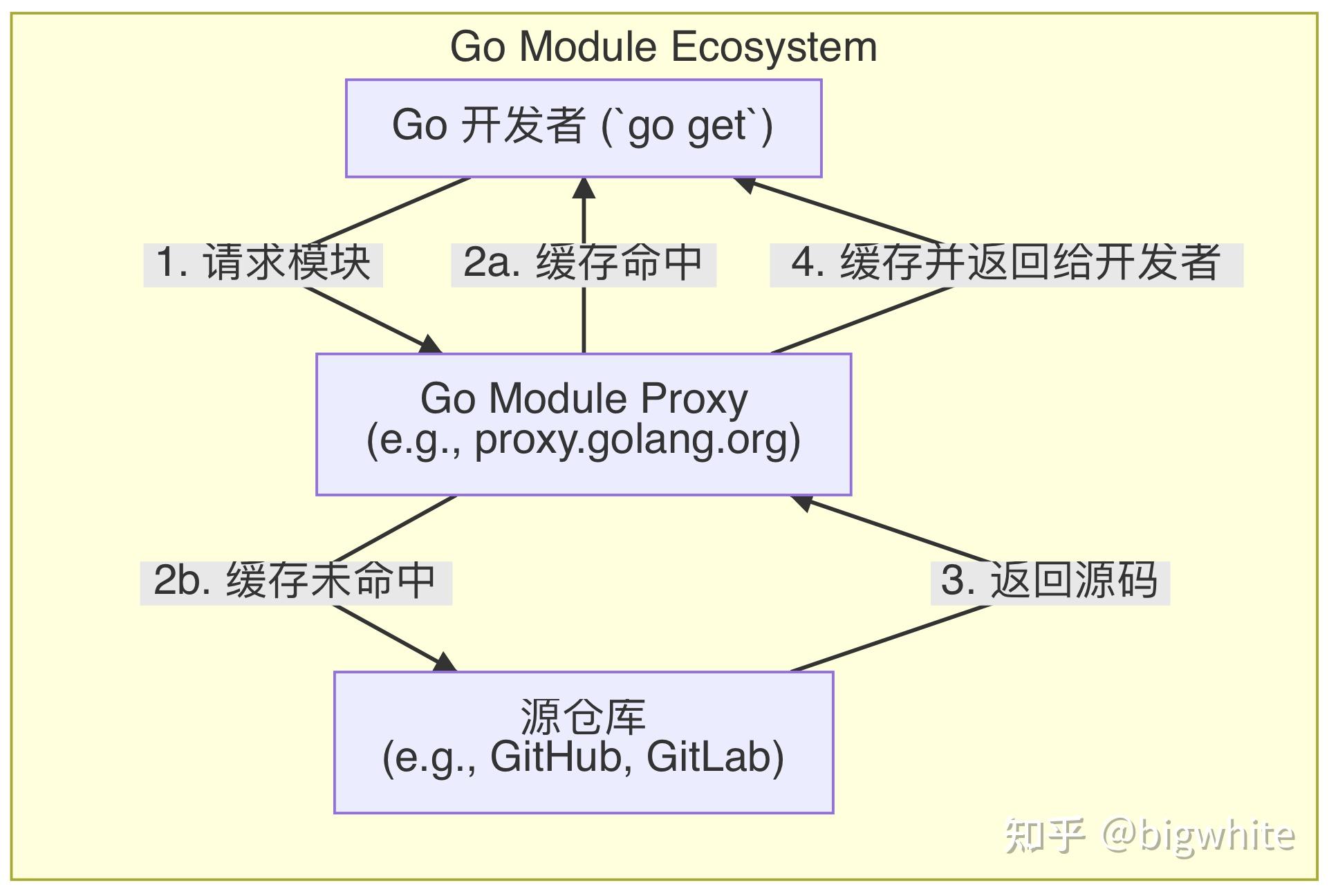 【Go模块构建与依赖管理】08 深入 Go Module Proxy 协议 - 知乎