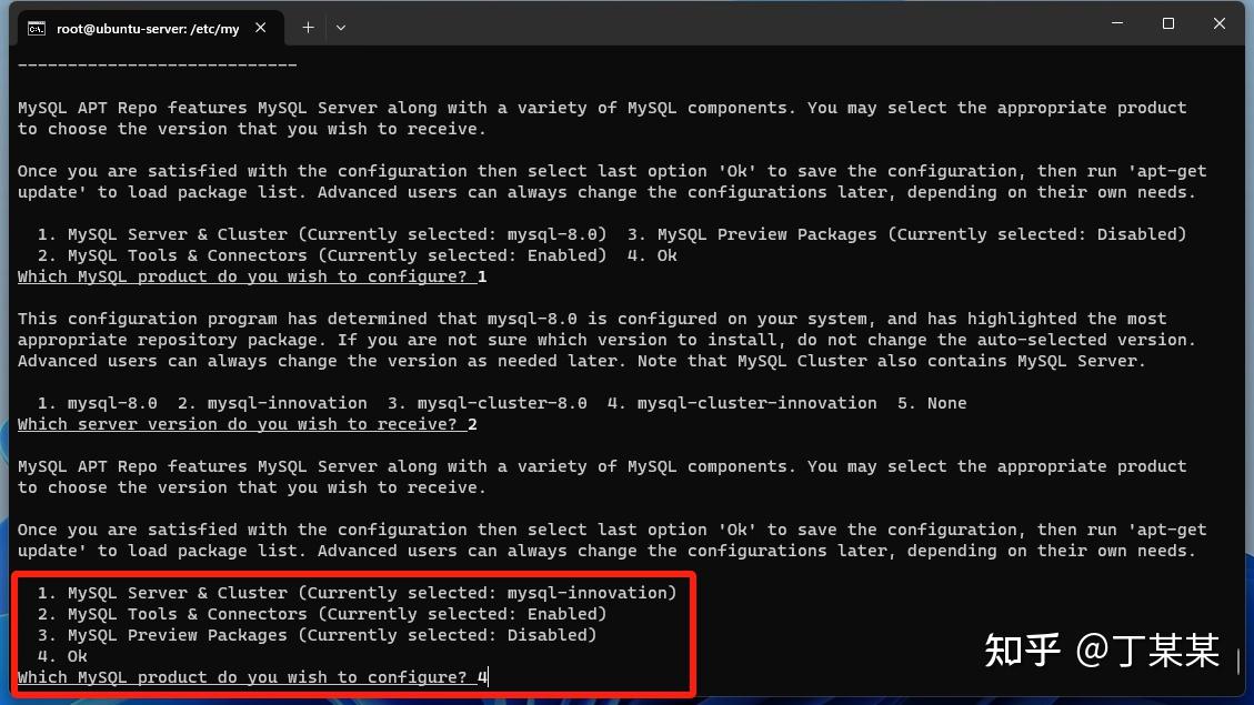 Ubuntu server24 04 mysql9 2 