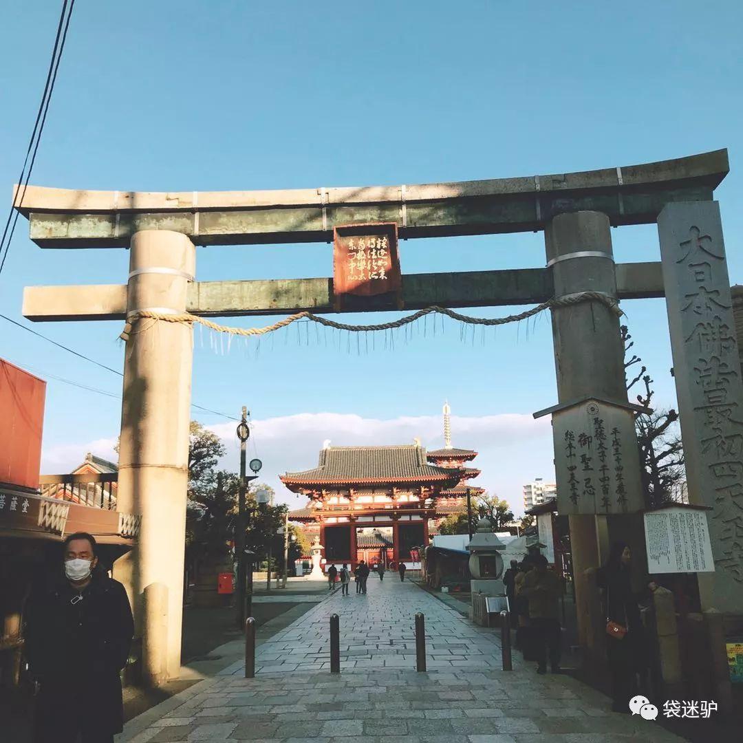 想明年去日本看樱花,假设准备玩一个星期到十