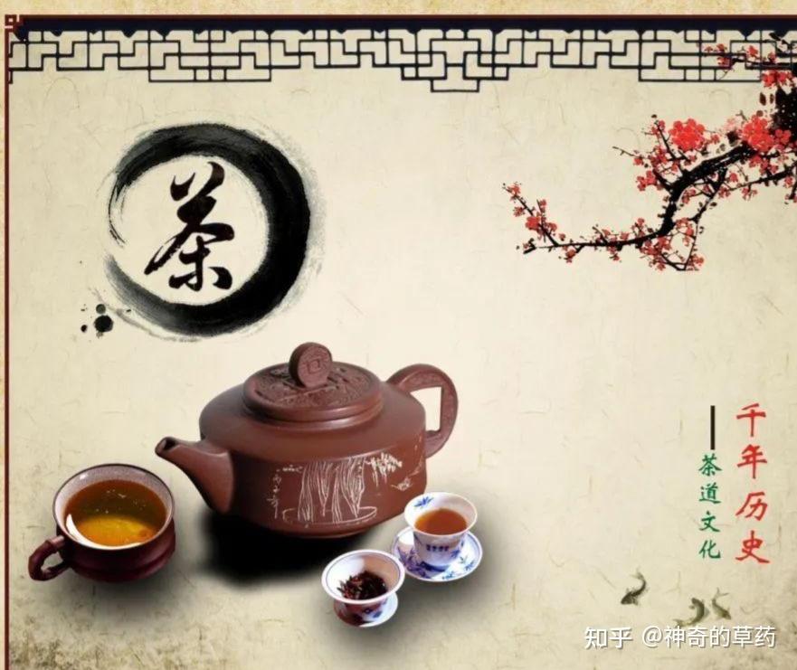 精选中医茶疗50方,方方都经典(附原料、功效和服法) - 知乎
