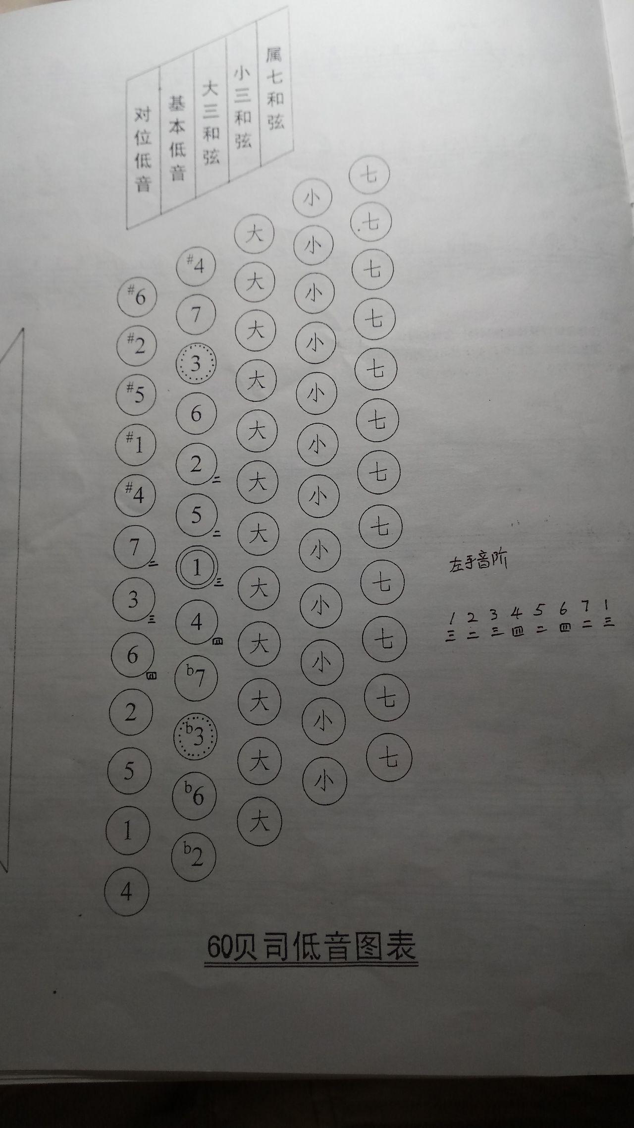 手風琴低音部怎麼用啊