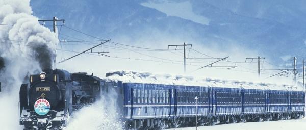 旅游列车穿越“林海LOL比赛赌注平台雪原”带来什么样的市场