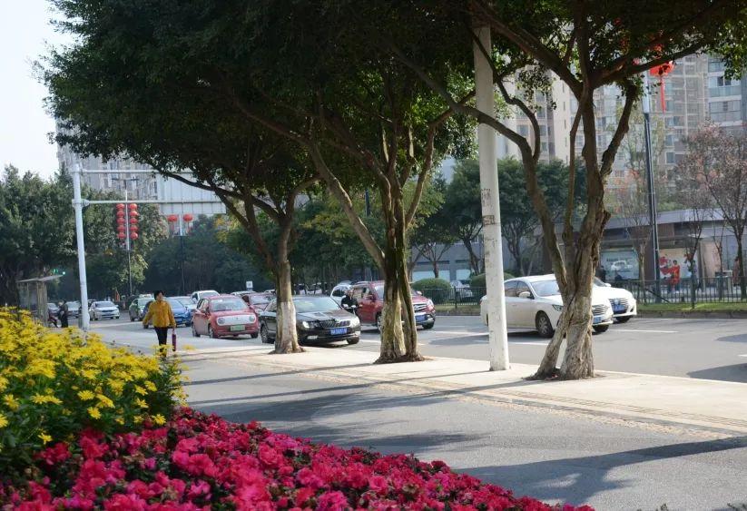 你发现了吗龙泉街道人行道变样了颜值高走着还舒坦