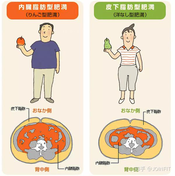 体重和别人一样 看起来却没有他人瘦 怎么回事 知乎