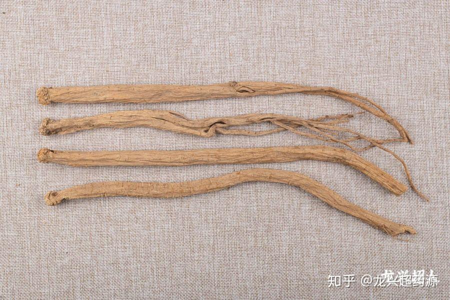 道地药材图鉴之党参